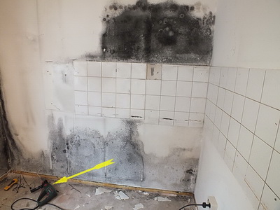 Freiburg im Breisgau Schimmelgutachten 